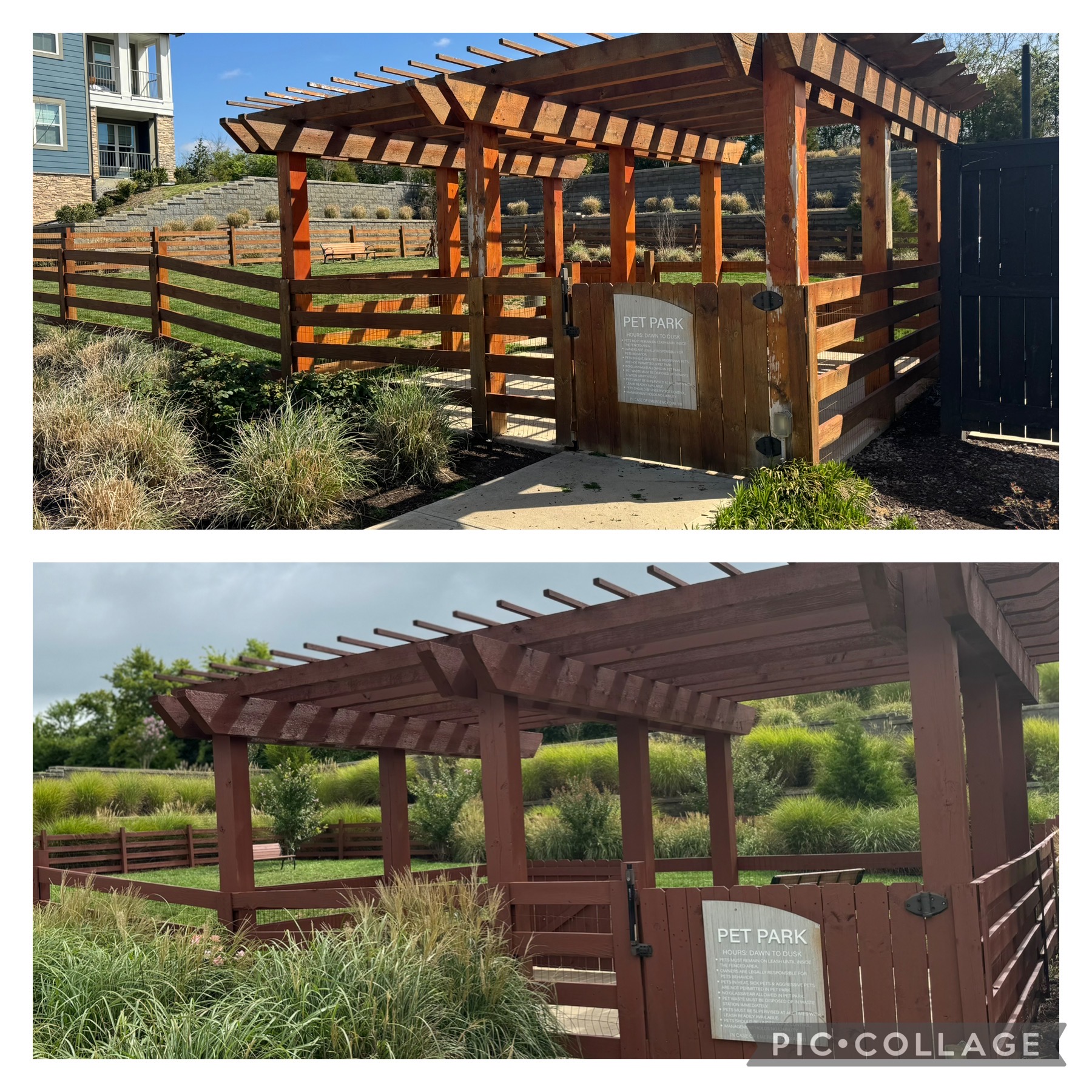 Dog park pergola